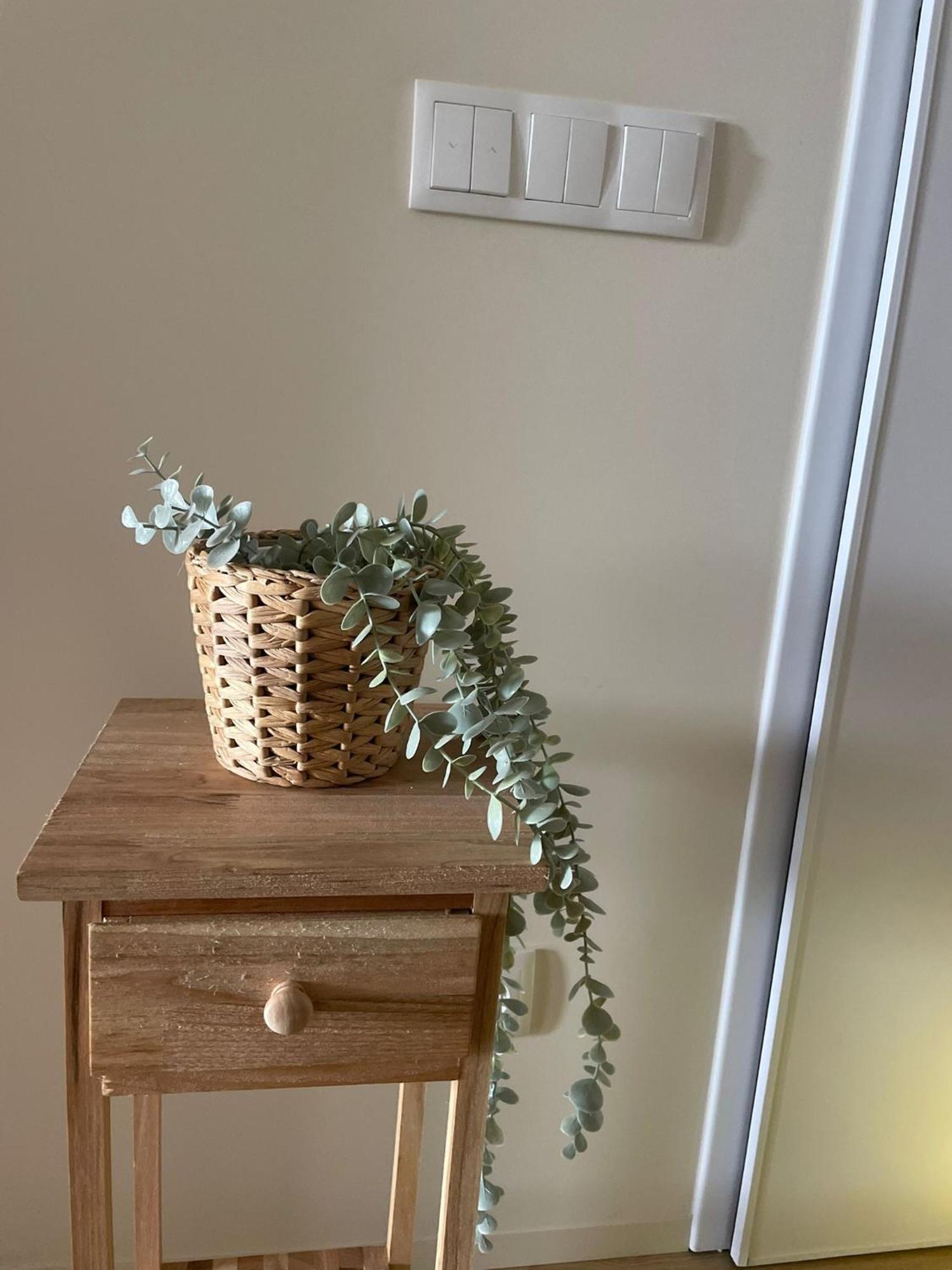 In - Magno House Apartamento *